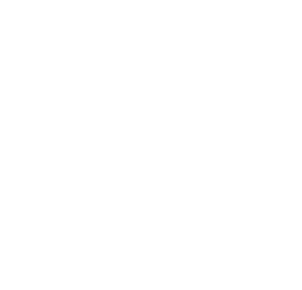 Magnus Capital